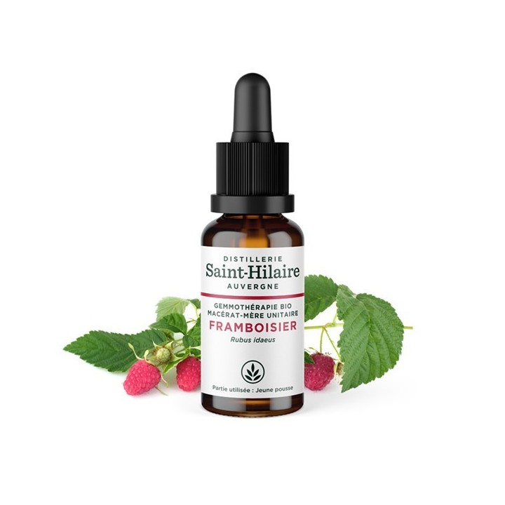 Madre-macerato biologico (glicerina) di gemme di lampone - 30ml - Saint-Hilaire