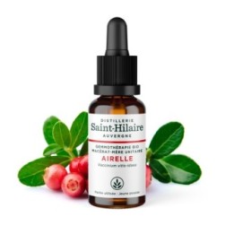 Macérat-mère glycériné BIO de bourgeon d'Airelle - 30ml - Saint-Hilaire