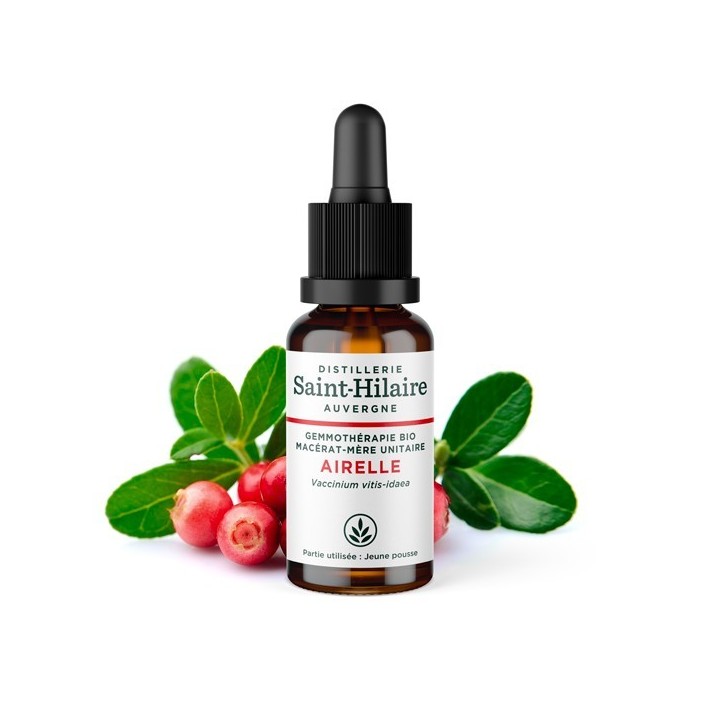 Macérat-mère glycériné BIO de bourgeon d'Airelle - 30ml - Saint-Hilaire