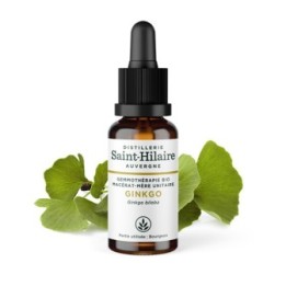 Ginkgo Biloba Knospe bio Muttermazerat (Glyzerin) - 30ml - Saint-Hilaire