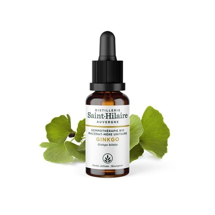 Ginkgo Biloba Knospe bio Muttermazerat (Glyzerin) - 30ml - Saint-Hilaire