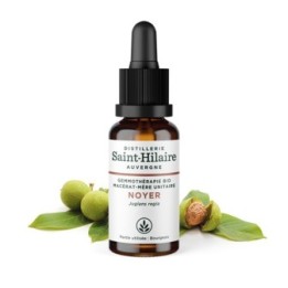 Bio-Walnussbaumknospe Muttermazerat (Glyzerin) - 30ml - Saint-Hilaire