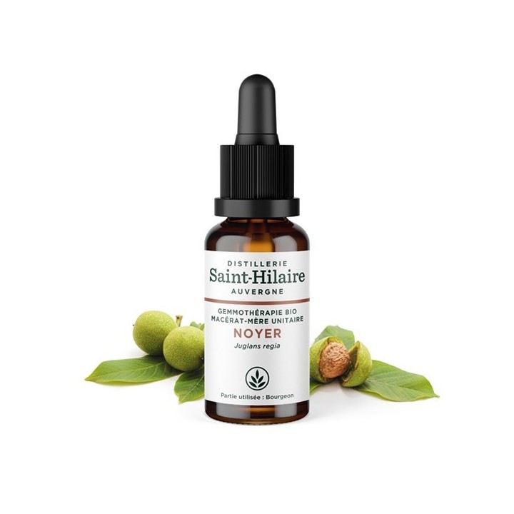 Madre-macerato biologico (glicerina) di gemme di noce - 30ml - Saint-Hilaire