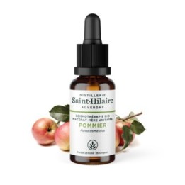 Macérat-mère glycériné BIO de bourgeon de Pommier - 30ml - Saint-Hilaire