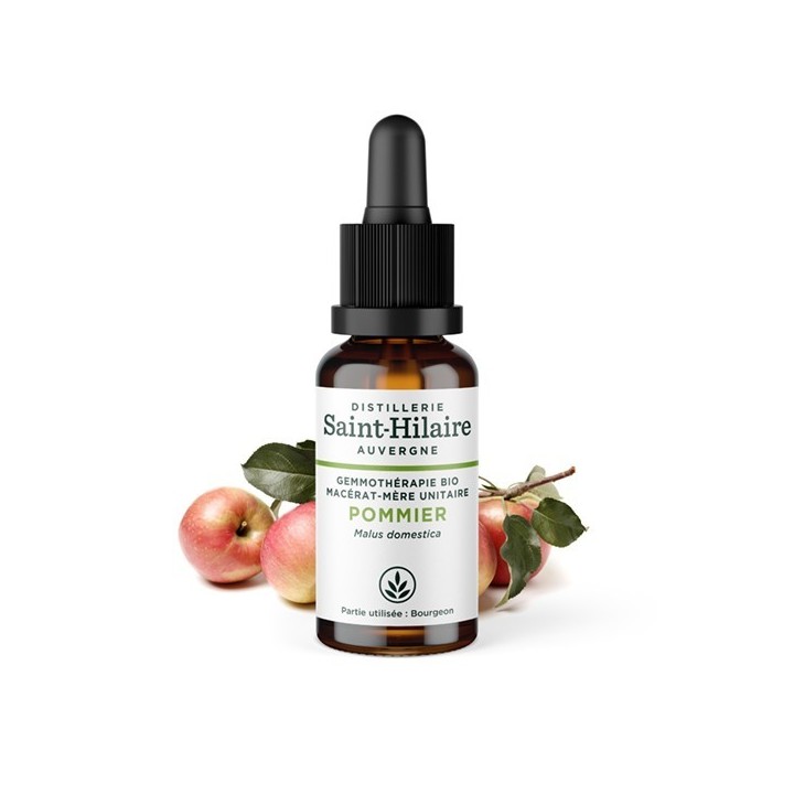 Macérat-mère glycériné BIO de bourgeon de Pommier - 30ml - Saint-Hilaire