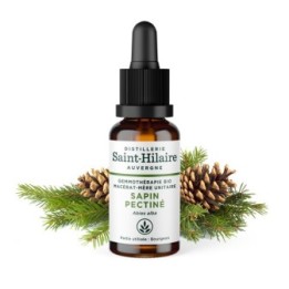 Macérat-mère glycériné BIO de bourgeon de Sapin Pectiné - 30ml - Saint-Hilaire
