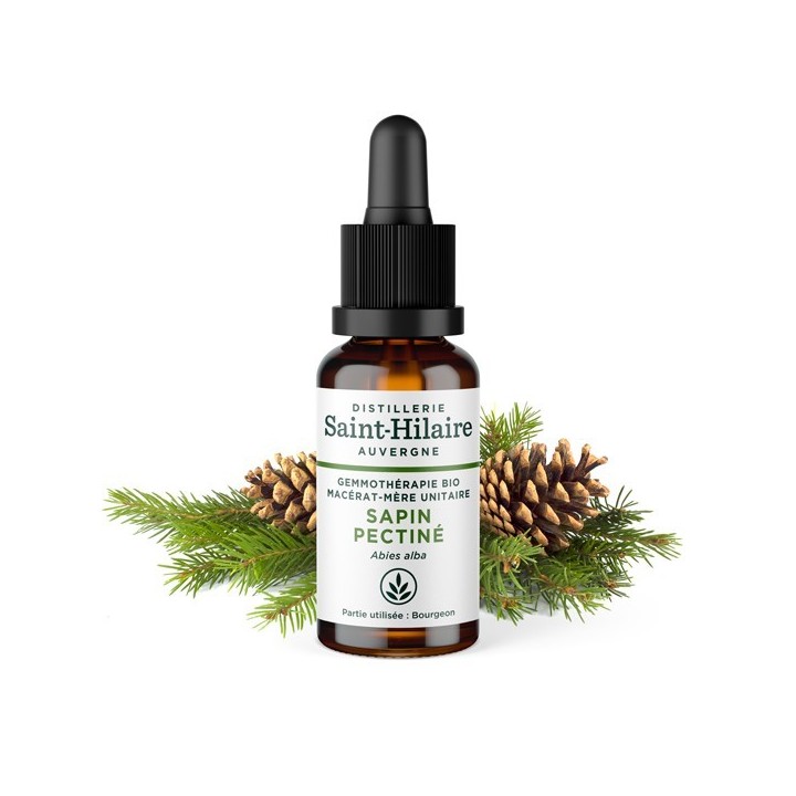 Bio-Tannenbaumknospe Muttermazerat (Glyzerin) - 30ml - Saint-Hilaire