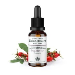 Bio Hagebutten Knospe Muttermazerat (Glyzerin) - 30ml - Saint-Hilaire