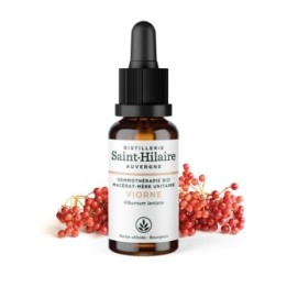 Bio-Hornstrauchknospe Muttermazerat (Glyzerin) - 30ml - Saint-Hilaire