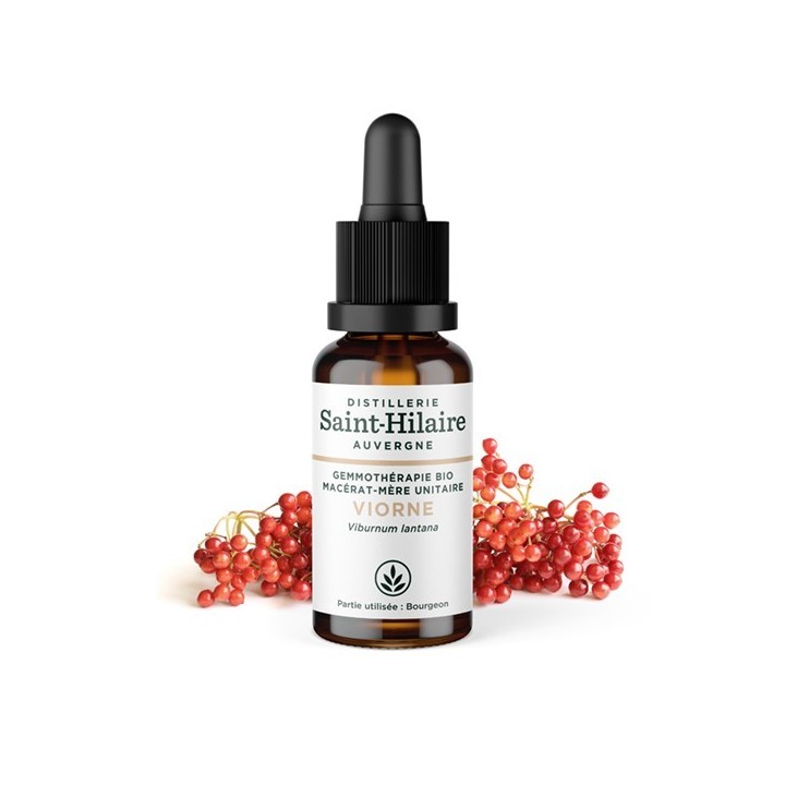 Macérat-mère glycériné BIO de bourgeon de Viorne - 30ml - Saint-Hilaire