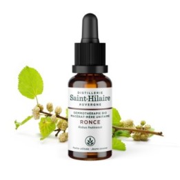 Madre-macerato biologico (glicerina) di gemme di rovo - 30ml - Saint-Hilaire