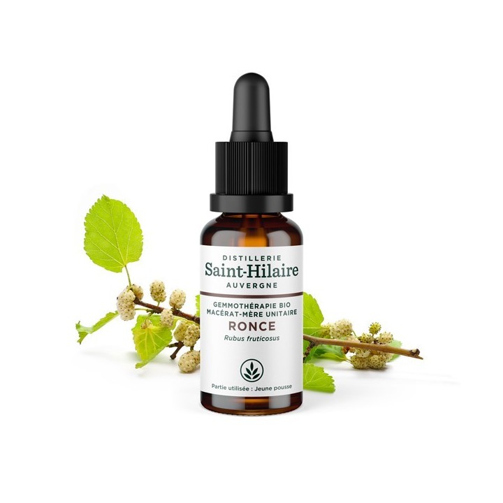 Madre-macerato biologico (glicerina) di gemme di rovo - 30ml - Saint-Hilaire