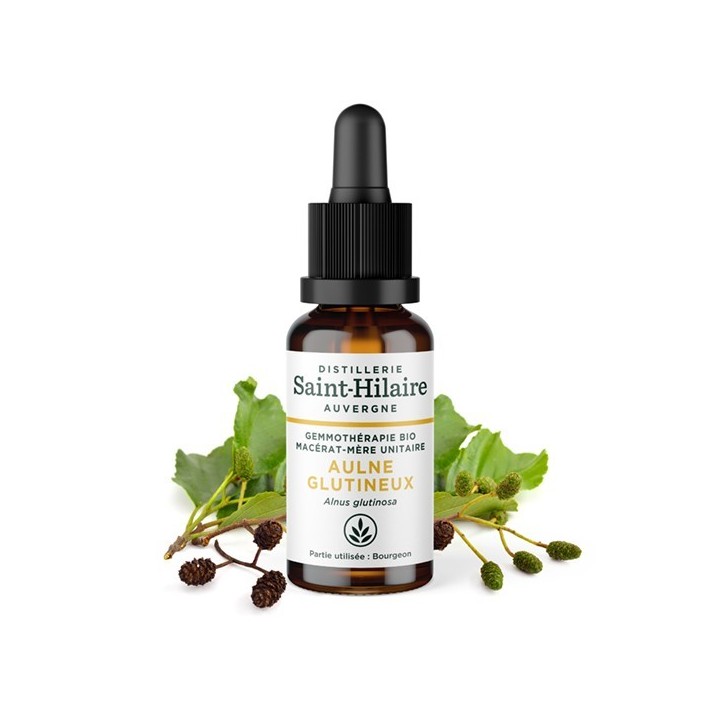Madre-macerato biologico (glicerina) di gemme di Ontano - 30ml - Saint-Hilaire