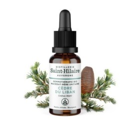 Macérat-mère glycériné BIO de bourgeon de Cèdre du Liban - 30ml - Saint-Hilaire