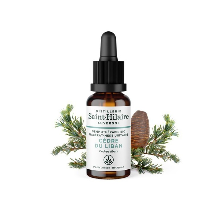 Madre-macerato biologico (glicerina) di gemme di Cedro del Libano - 30ml - Saint-Hilaire