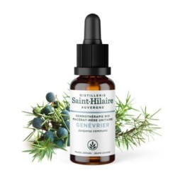 Macérat-mère glycériné BIO de bourgeon de Genévrier - 30ml - Saint-Hilaire