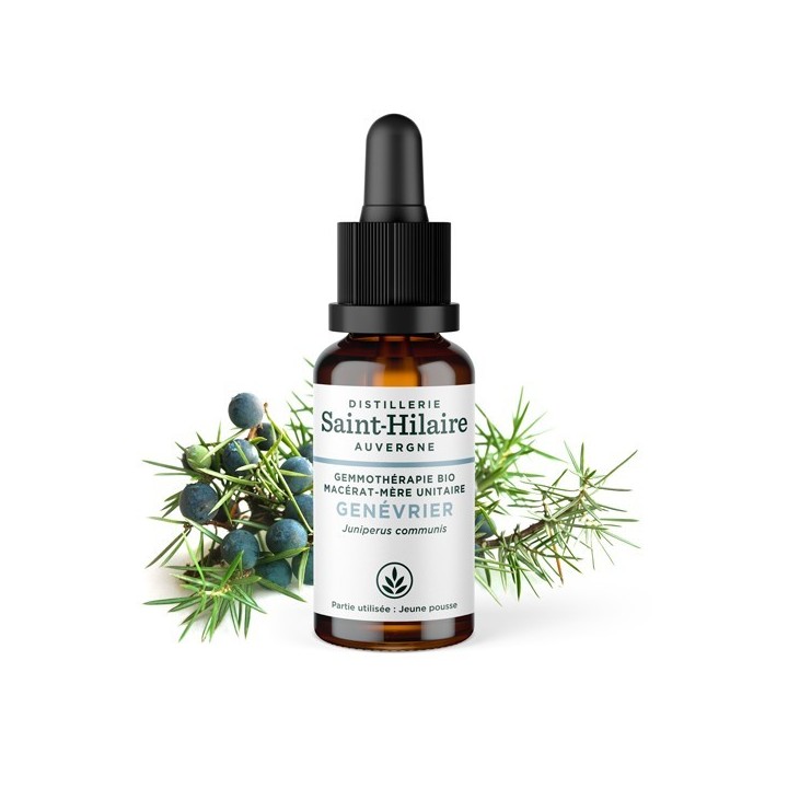 Macérat-mère glycériné BIO de bourgeon de Genévrier - 30ml - Saint-Hilaire