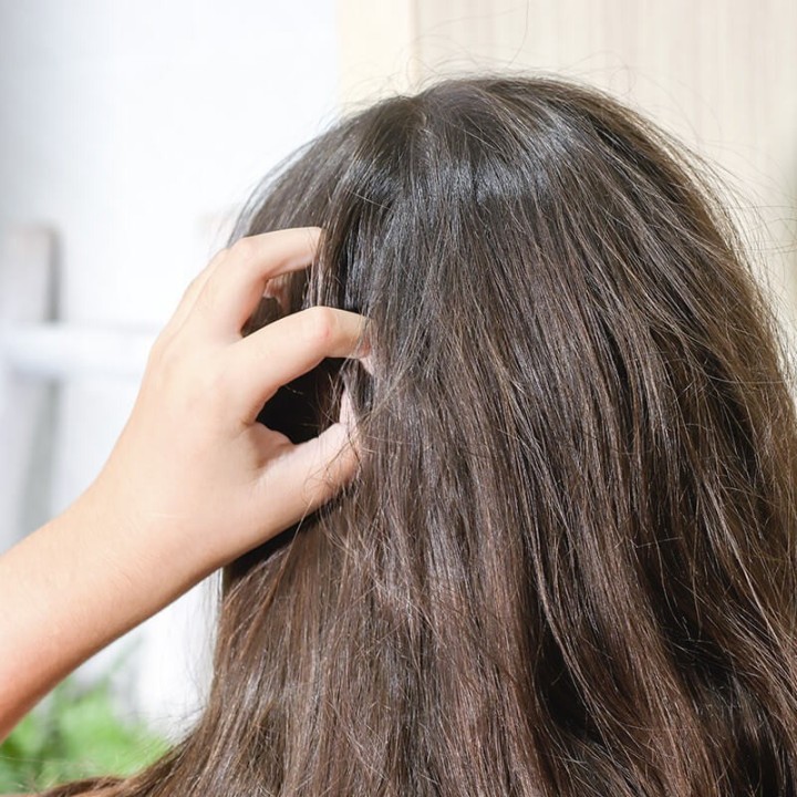 Das feste Shampoo der "Kleinen Köpfe", gegen das Auftreten von Parasiten - 70g - Lamazuna