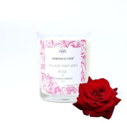 Candela ad olio Cade, Profumo Rosa - 400g, circa 45h - Ambiance Cade