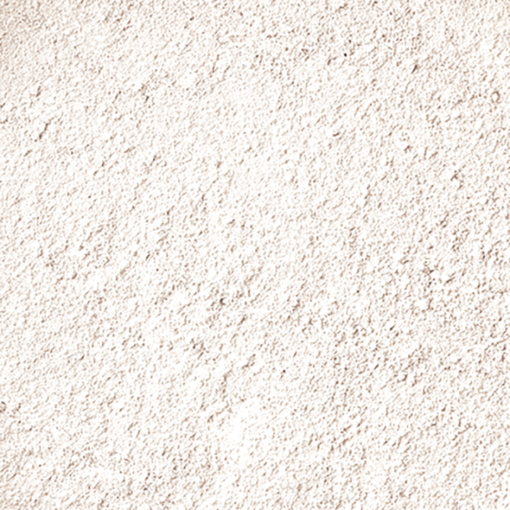 Fond de teint poudre - Mineral Silk, BIO & Vegan - N° 500, Matifiant / Invisible - 13,5g - Zao
