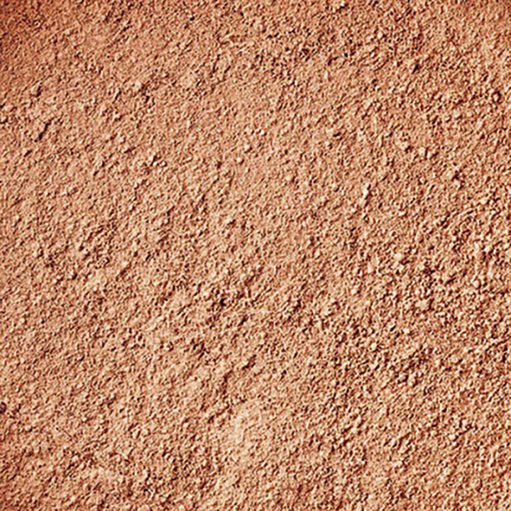 Fond de teint poudre - Mineral Silk, BIO & Vegan - N° 505, Beige Noisette - 13,5g - Zao