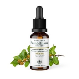 Bio-Buchenknospen Muttermazerat (Glyzerin) - 30ml - Saint-Hilaire