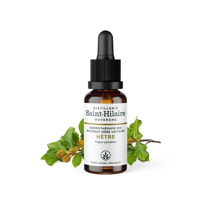 Bio-Buchenknospen Muttermazerat (Glyzerin) - 30ml - Saint-Hilaire