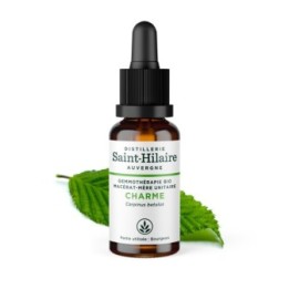 Macérat-mère glycériné BIO de bourgeon de Charme - 30ml - Saint-Hilaire