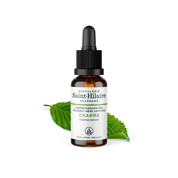 Bio-Hainbuchenknospe Muttermazerat (Glyzerin) - 30ml - Saint-Hilaire