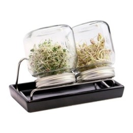 Glaskeimglas (750ml) für Keimsaat - DUO, 2 Stk - De Bardo