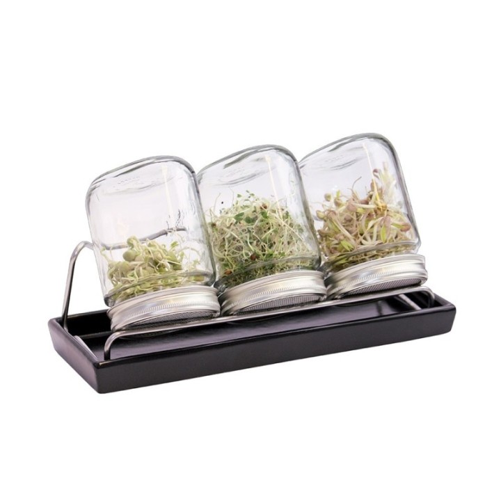 Bocal/Germoir en Verre (750ml) pour graines à germer - TRIO, 3 pces - De Bardo