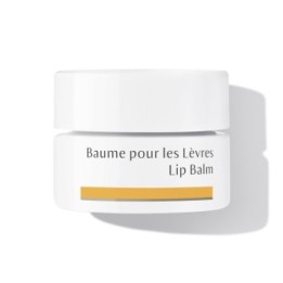 Balsamo labbra, Trattamento rigenerante per labbra danneggiate - 4,5 ml - Dr. Hauschka