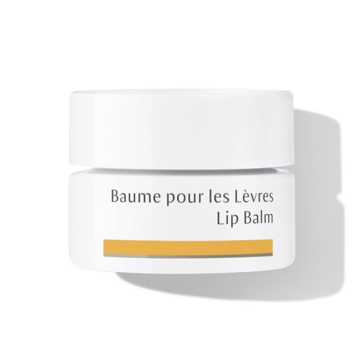 Balsamo labbra, Trattamento rigenerante per labbra danneggiate - 4,5 ml - Dr. Hauschka