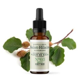 Fleurs de Bach BIO "Méthode original", N° 3, Hêtre, Beech (Fagus sylvatica) - 20ml - Saint-Hilaire