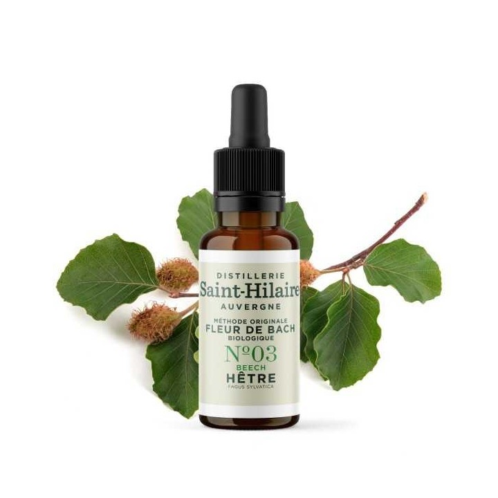 Fleurs de Bach BIO "Méthode original", N° 3, Hêtre, Beech (Fagus sylvatica) - 20ml - Saint-Hilaire