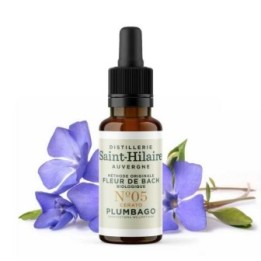 Fleurs de Bach BIO "Méthode original", N° 5, Plumbago, Cerato (Ceratostigma willmotiana) - 20ml - Saint-Hilaire