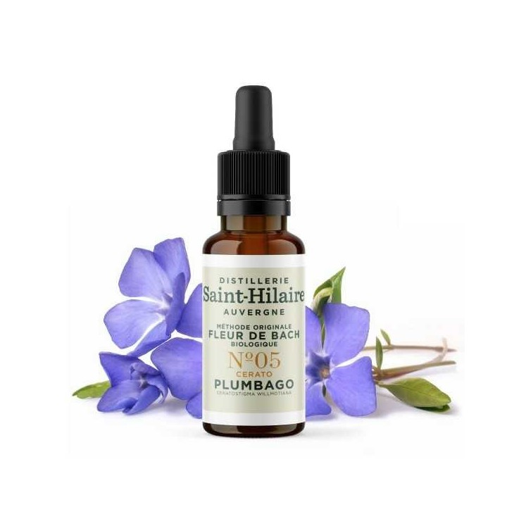 Fiori di Bach BIO "Metodo originale", N° 5, Piombo, Cerato (Ceratostigma willmotiana) - 20ml - Saint-Hilaire