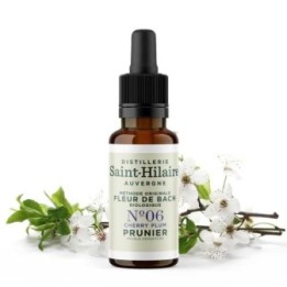 Fleurs de Bach BIO "Méthode original", N° 6, Prunier, Cherry Plum (Prunus cerasifera) - 20ml - Saint-Hilaire