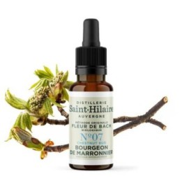 Bachblüten BIO "Original Methode", Nr. 7, Kastanienknospe, Chestnut Bud (Aesculus hippocastanum) - 20ml - Saint-Hilaire