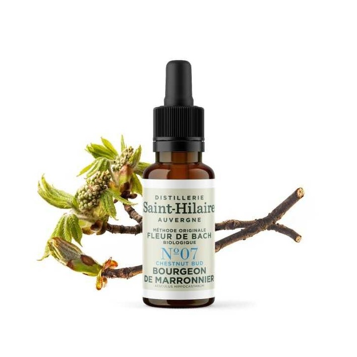 Bachblüten BIO "Original Methode", Nr. 7, Kastanienknospe, Chestnut Bud (Aesculus hippocastanum) - 20ml - Saint-Hilaire