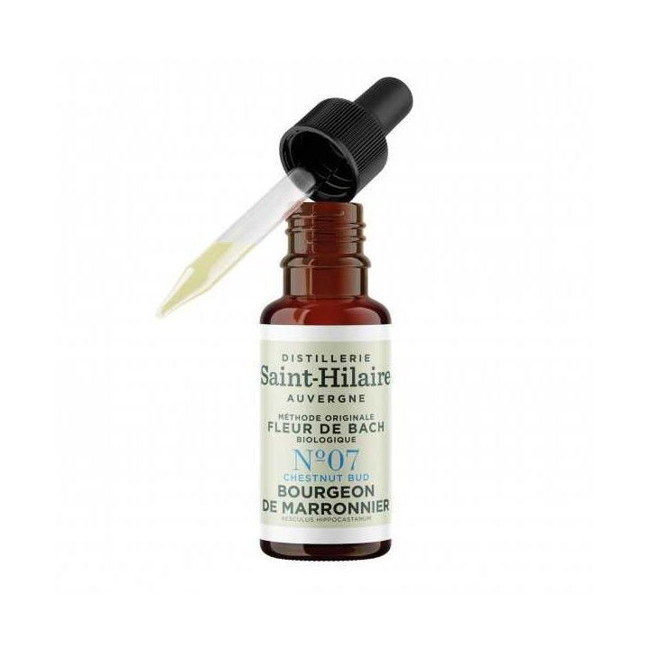 Fiori di Bach BIO "Metodo originale", N° 7, Germoglio di Ippocastano, Chestnut Bud (Aesculus hippocastanum) - 20ml - Saint-Hilai