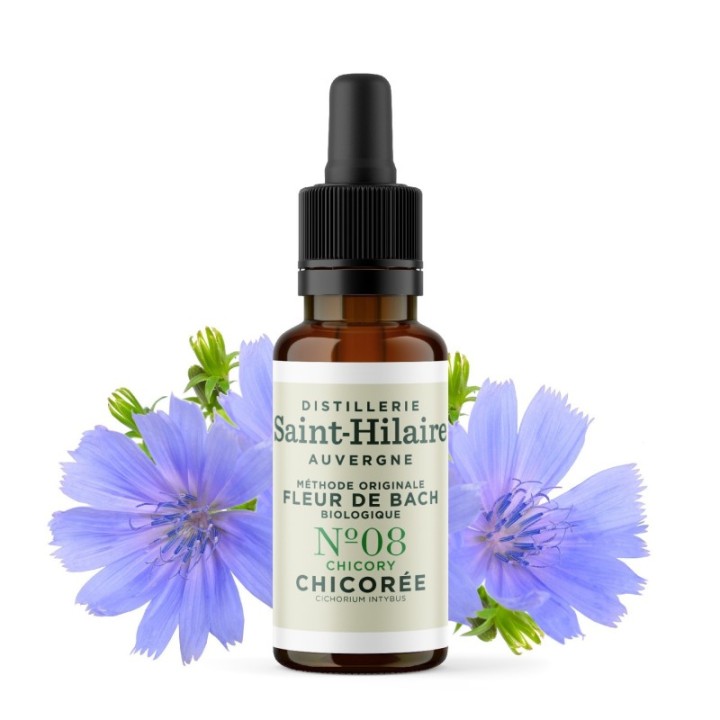 Fleurs de Bach BIO "Méthode original", N° 8, Chicorée, Chicory (Cichorium intybus) - 20ml - Saint-Hilaire