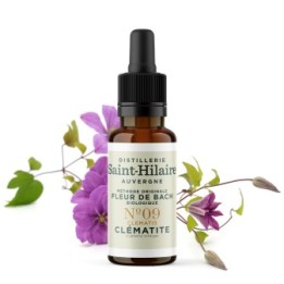 Fleurs de Bach BIO "Méthode original", N° 9, Clématite, Clematis (Clematis vitalba) - 20ml - Saint-Hilaire