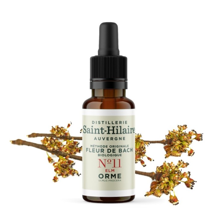 Fleurs de Bach BIO "Méthode original", N° 11, Orme, Elm (Ulmus procera) - 20ml - Saint-Hilaire