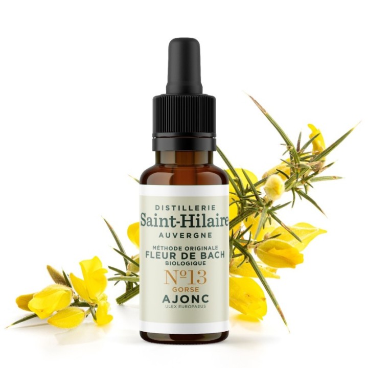 Fiori di Bach BIO "Metodo originale", N° 13, Ginestra spinosa, Gorse (Ulex europaeus) - 20ml - Saint-Hilaire