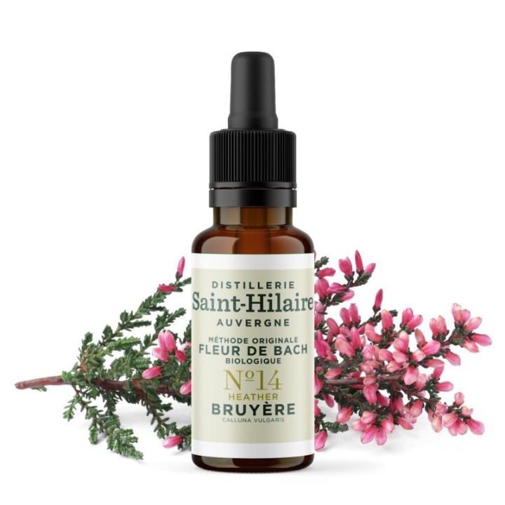 Bachblüten BIO "Original Methode", Nr. 14, Heidekraut, Heather (Calluna vulgaris) - 20ml - Saint-Hilaire