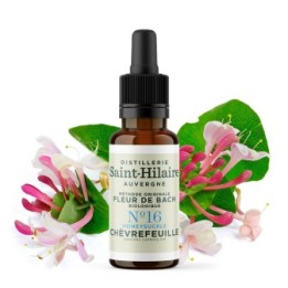 Bachblüten BIO "Original Methode", Nr. 16, Geißblatt, Honeysuckle (Lonicera caprifolium) - 20ml - Saint-Hilaire