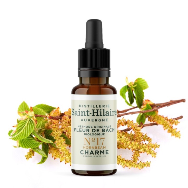 Bachblüten BIO "Original Methode", Nr. 17, Hainbuche, Hornbeam (Carpinus betulus) - 20ml - Saint-Hilaire