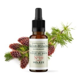 Fleurs de Bach BIO "Méthode original", N° 19, Mélèze, Larch (Larix decidua) - 20ml - Saint-Hilaire