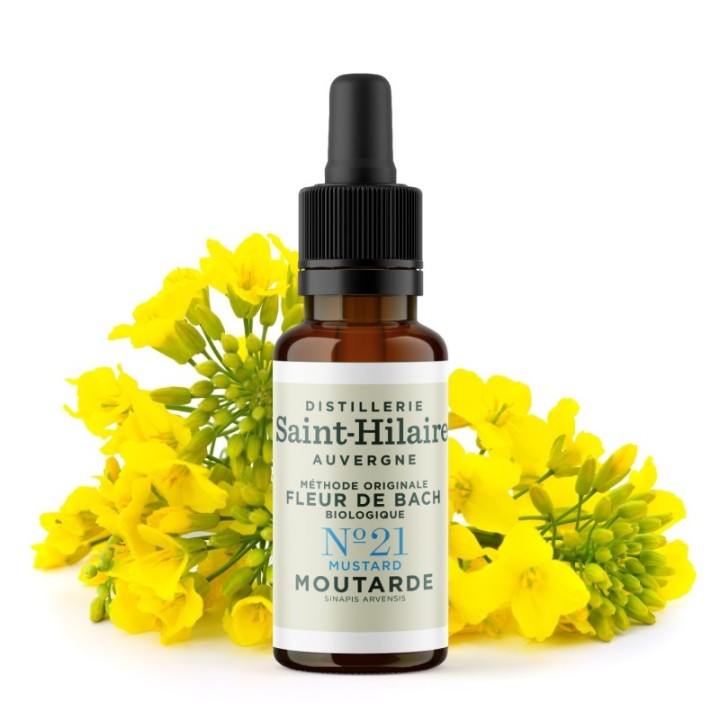 Fleurs de Bach BIO "Méthode original", N° 21, Moutarde, Mustard (Sinapis arvensis) - 20ml - Saint-Hilaire